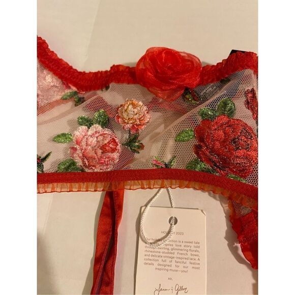 Victoria’s Secret For Love & Lemons Roses Lace Lattice GARTER BELT & Thongs NWT - Picture 14 of 14